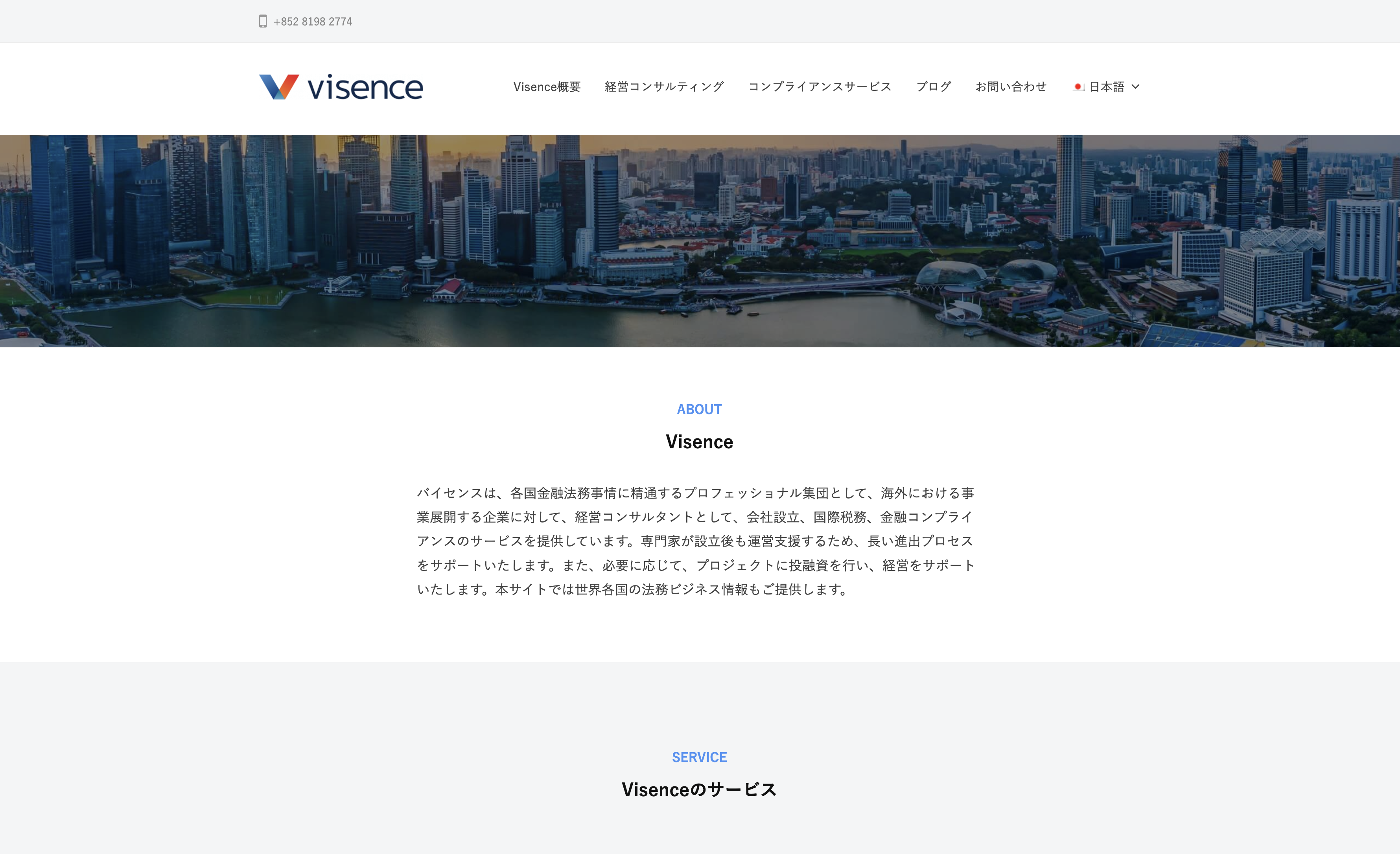 Visence Professional Services 合同会社のVisence Professional Services合同会社:行政書士サービス